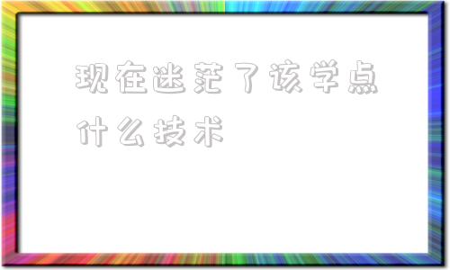 现在迷茫了该学点什么技术的简单介绍